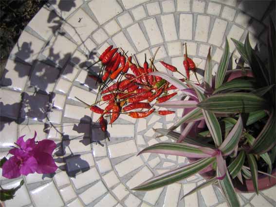 Mosaic Table Imagine Outlet
