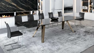 Table XL 400 cm, 20 assises, Equus Naos (2)