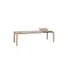 Table bois massif design allemand 500 cm (1)